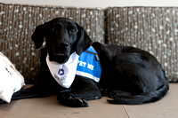 Care-A-Van Therapy Dog Kevin