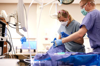 Crosby - transorbital surgery test