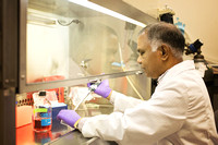 Vickram Ramkumar, PhD - Lab Work