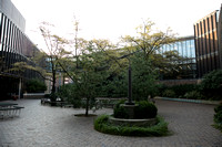 lcarus - Courtyard statute