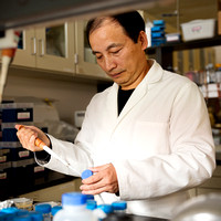 Dielang Cao, MD - Research